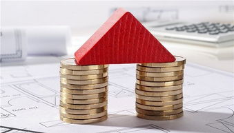 房產經紀人服務欠透明，十位借款人陷入財務困境